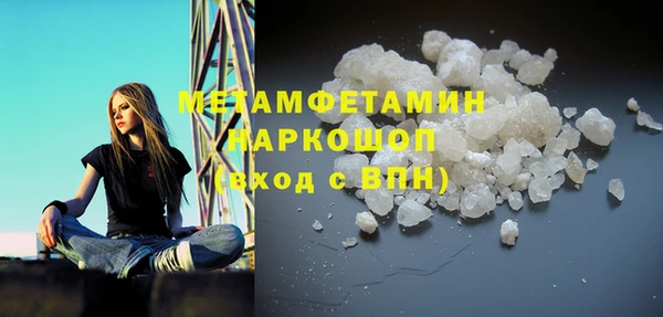 прущие грибы Абинск