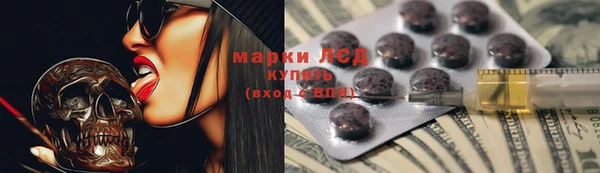 прущие грибы Абинск