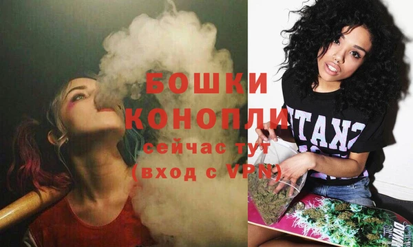 амф Вуктыл