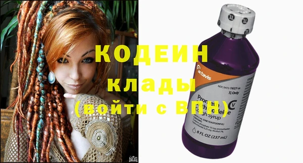 прущие грибы Абинск