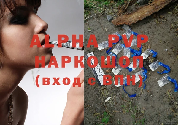 прущие грибы Абинск