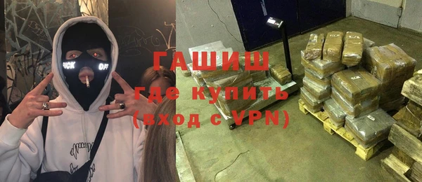 прущие грибы Абинск